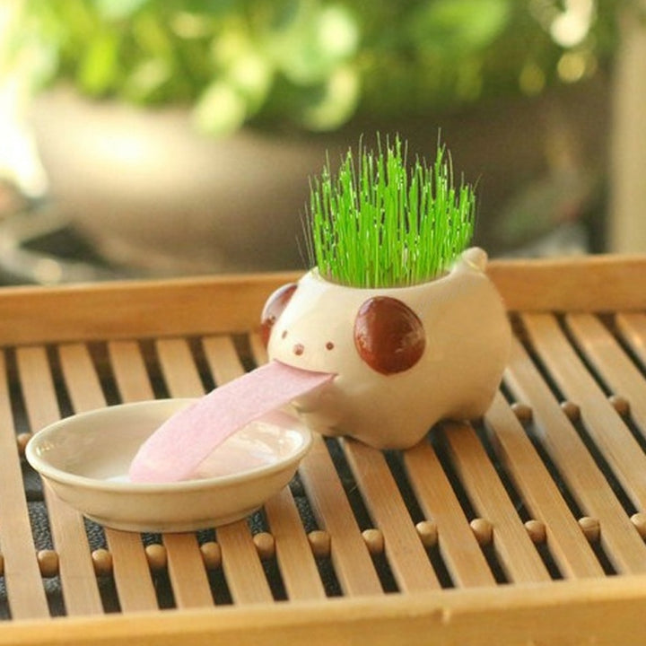 Office Mini Plant Grass Planting Pot