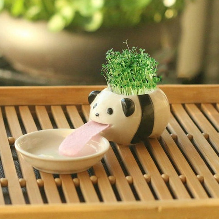 Office Mini Plant Grass Planting Pot