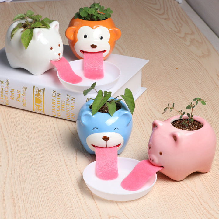 Office Mini Plant Grass Planting Pot