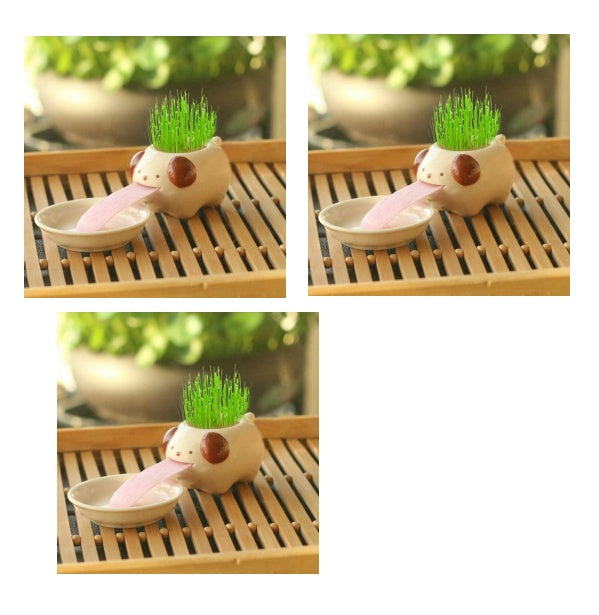 Office Mini Plant Grass Planting Pot