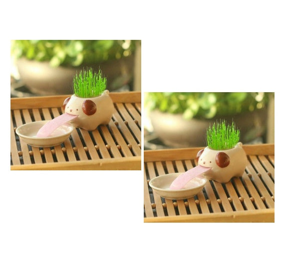 Office Mini Plant Grass Planting Pot