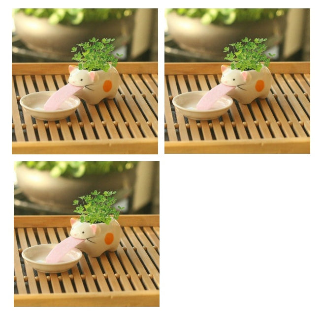 Office Mini Plant Grass Planting Pot