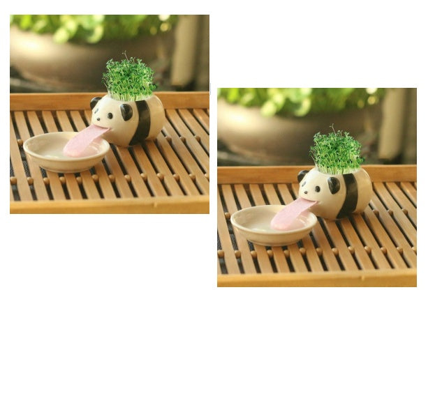 Office Mini Plant Grass Planting Pot