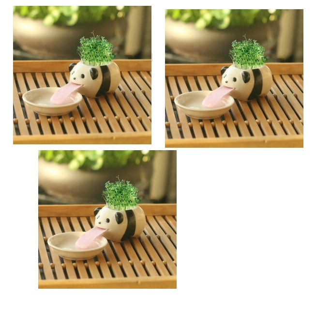 Office Mini Plant Grass Planting Pot